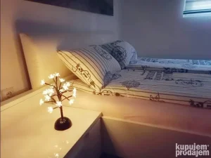 Stan na dan Niš CENTAR
