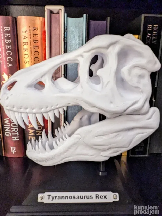 T-Rex  model lobanje