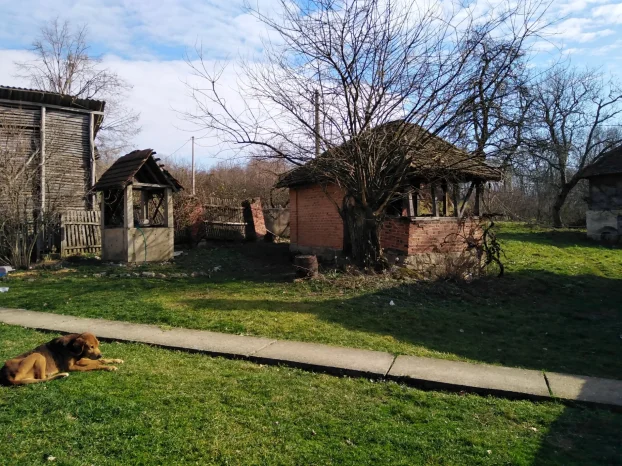 Pravo seosko domacinstvo 6.7h sa ogromnom kolicinom vode