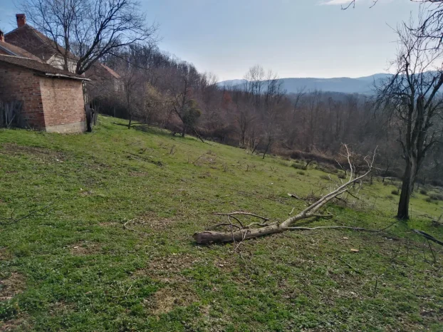 Pravo seosko domacinstvo 6.7h sa ogromnom kolicinom vode