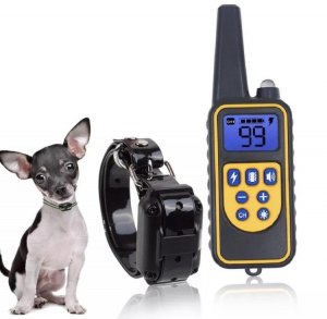 DRESER pasa dreser DRESER pasa DRESER za pse dreser za psa