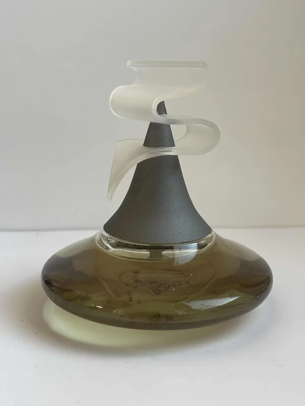 Romeo di Romeo Gigli parfem 100ml