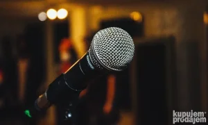 Potreban pop/rock pevač