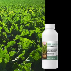 FMC corporation Safari duo active 1 kg Herbicidi