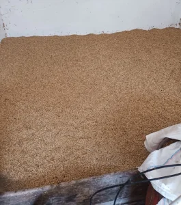 Ječam na prodaju