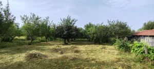 Knić, Bečevica, dvosobna, 45 m²