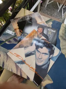 tri LP ploče Davida Hasaelhoff-a / Original!