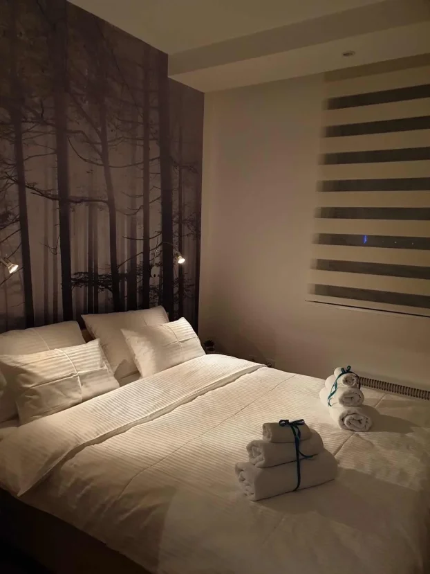 Jelena Anžujska 31, Zlatibor, Sloboda, 1.5 jednoiposoban, 45 m²