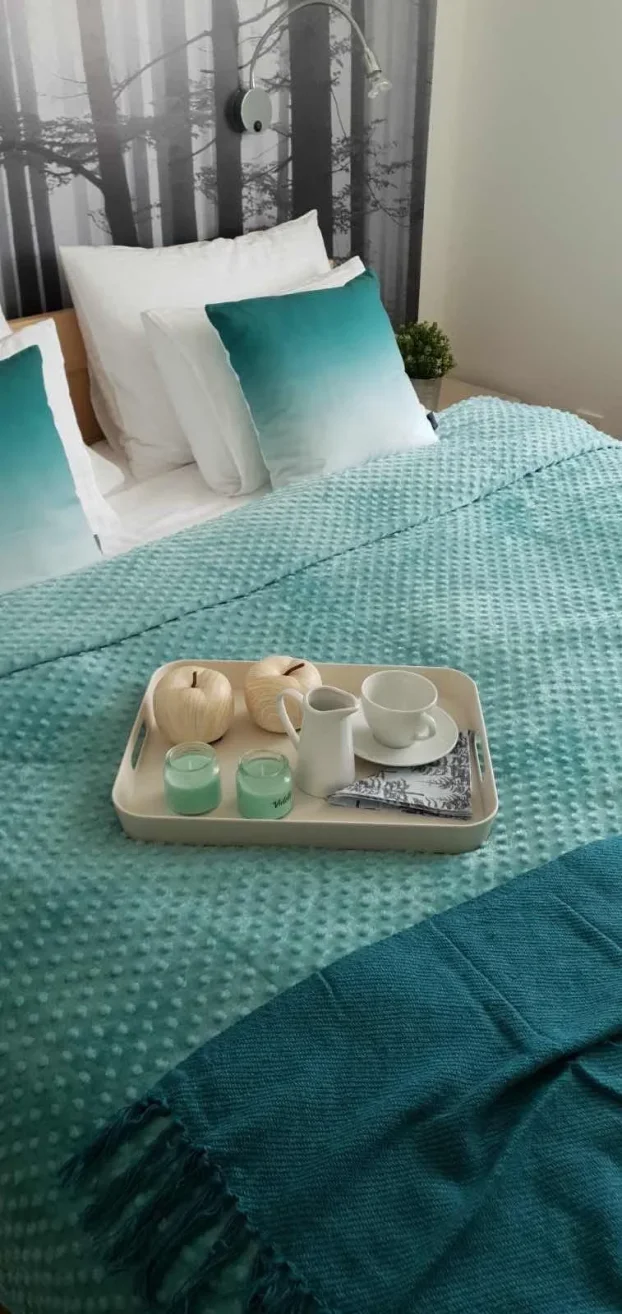 Jelena Anžujska 31, Zlatibor, Sloboda, 1.5 jednoiposoban, 45 m²