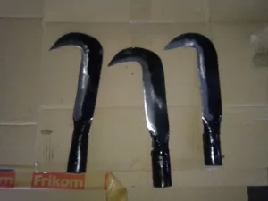kosir