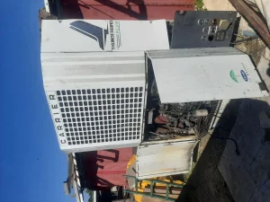 Termo kinkg carrier