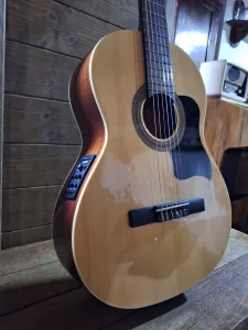 Samick C3 N Classical/Electric Guitar/Fishman Presys-ZAMENA