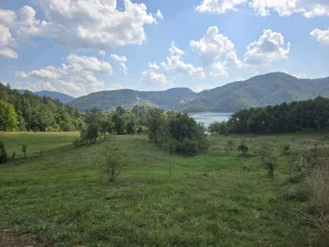 Bjeluša - Stuparevina, Tara, Zaovine, 4 ar