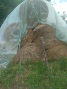 Na prodaju slama u rolo balama