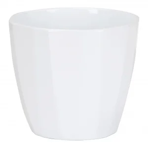 Saksija 939/18 Alaska