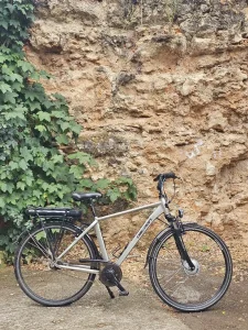Devron e-bike