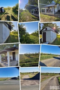 Irig, Širi centar, 147 ar