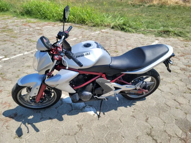 Kawasaki Er6n