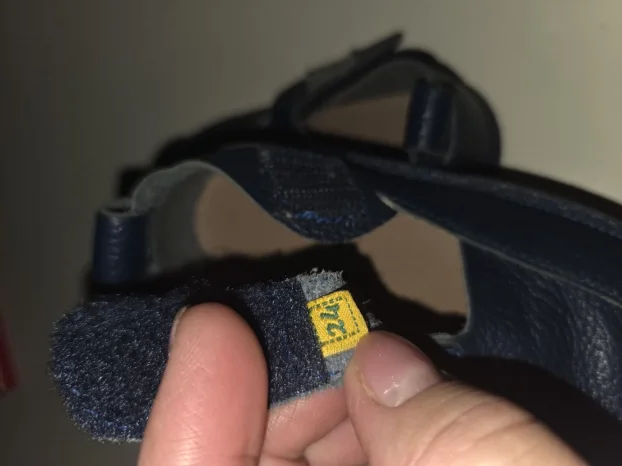 Zuma patofne za decaka br 24