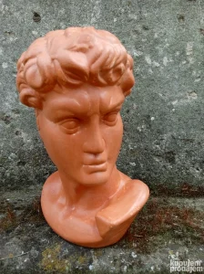 Bista Davida, Mikelanđelo Buonaroti