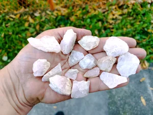 Rozenkvarc 15 komada sirovi neobradjeni