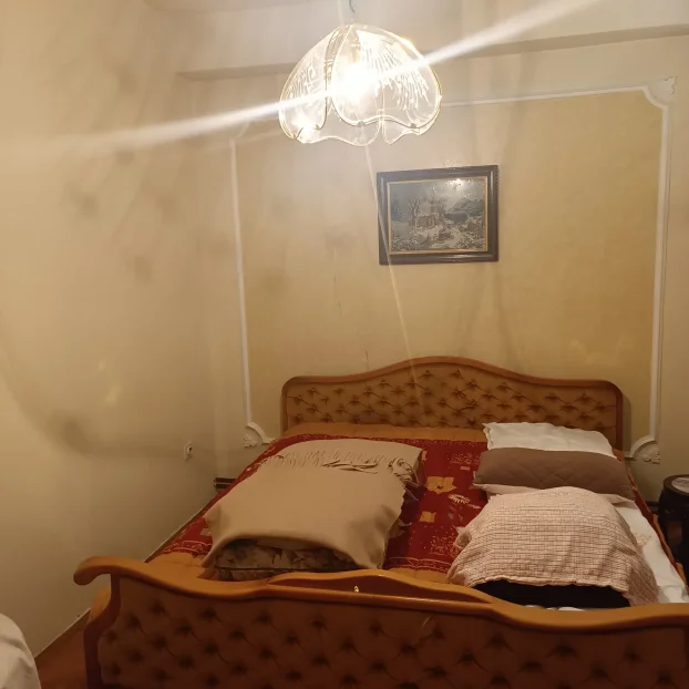 Braće Vidaković, Pećinci, Širi centar, 5+ petosobna, 444 m²