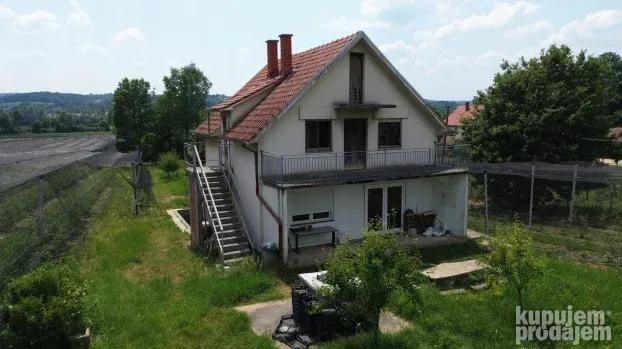 Venčane, zasad borovnica