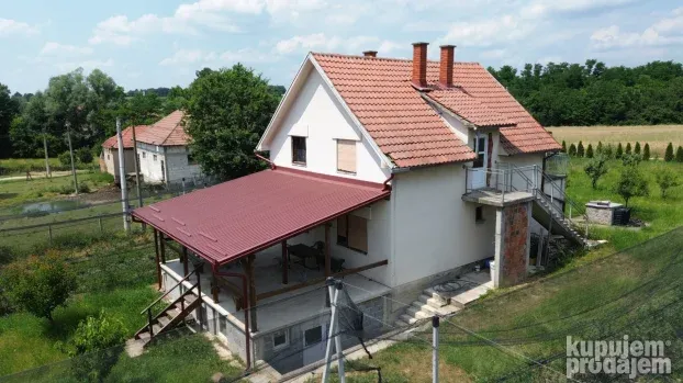 Venčane, zasad borovnica