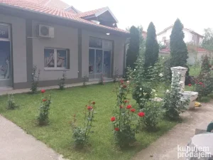 studenicka, Pantelej, 65 m²