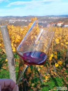 Roze vino(ružica) domaće
