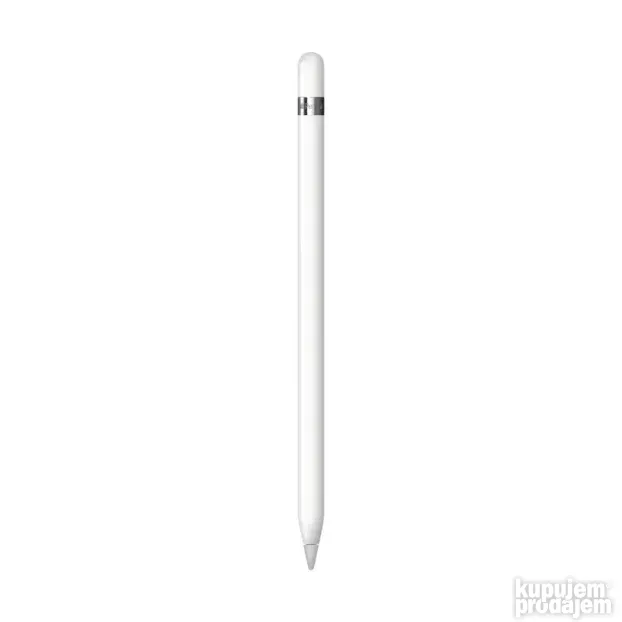 Apple Pencil ( 1st gen ) ( 2022 )