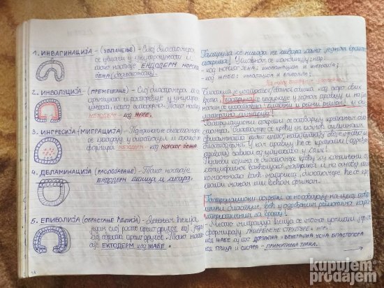 BIOLOGIJA-materijal za PRIJEMNI ISPIT-Medicinski fakultet