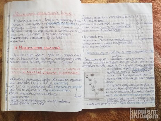 BIOLOGIJA-materijal za PRIJEMNI ISPIT-Medicinski fakultet