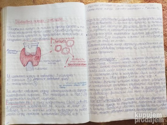BIOLOGIJA-materijal za PRIJEMNI ISPIT-Medicinski fakultet