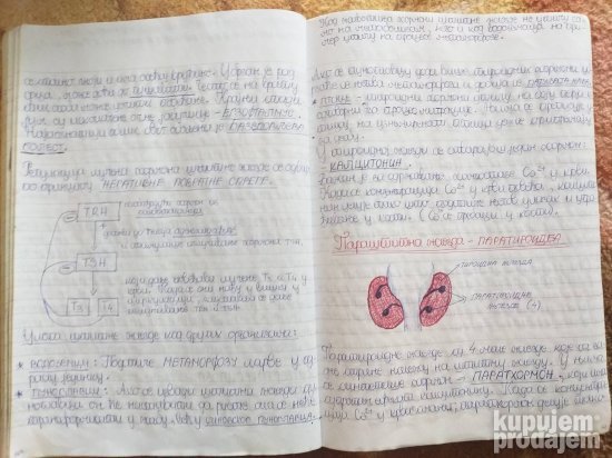 BIOLOGIJA-materijal za PRIJEMNI ISPIT-Medicinski fakultet