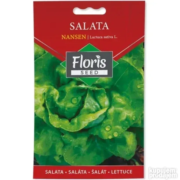 Salata Nansen seme 2g - 10kom. FLORIS