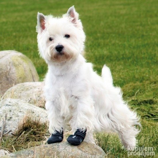 Trixie: Cipelice za pse Active Walker