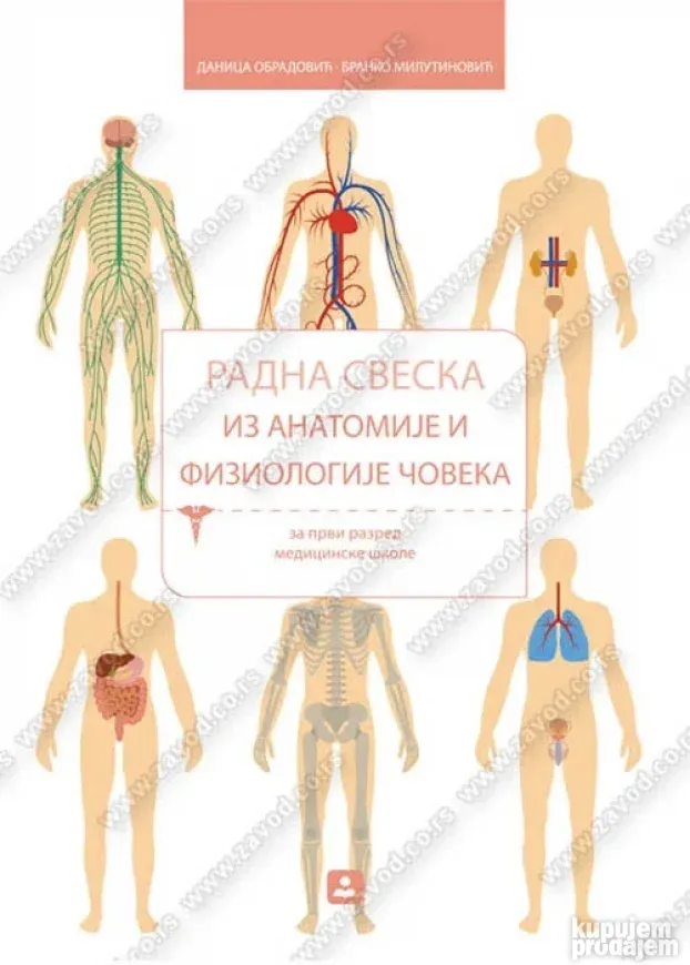 ANATOMIJA I FIZIOLOGIJA ČOVEKA za 1. razred medicinske i zub