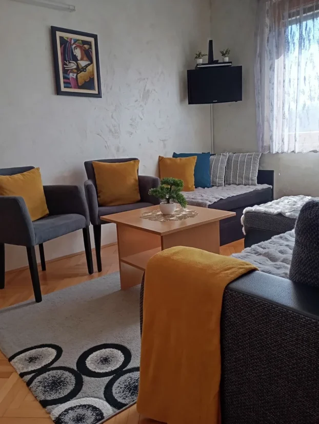 LAST minute - Zlatibor apartman Andjela
