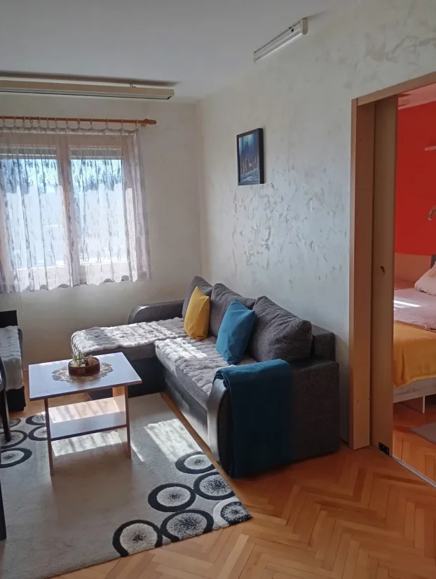 LAST minute - Zlatibor apartman Andjela