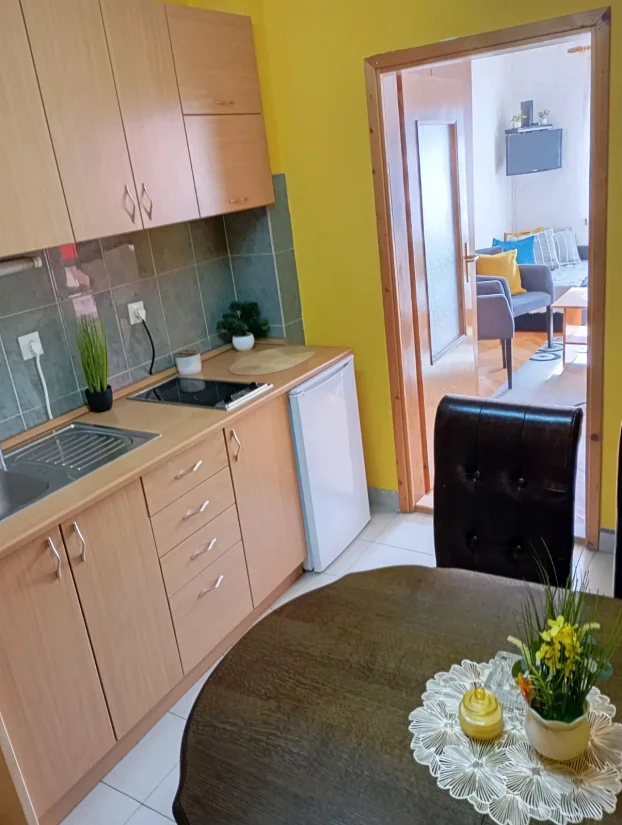 LAST minute - Zlatibor apartman Andjela