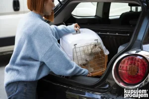 Prevoz pasa i drugih kucnih ljubimaca