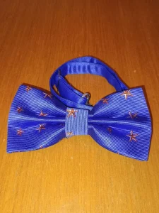 Leptir mašne - NOVO