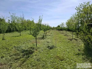 Zrenjanin, Ečka, 18.96 ar