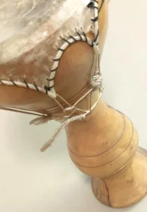 Afrički bubanj - tarantula