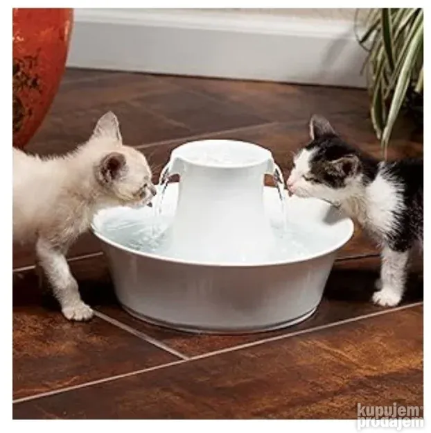 Fontana Per Animali PetSafe Drinkwell Avalon In Ceramica - 2 Litri, Doppio Flusso, Filtro Inclus - Foto 2