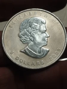 Srebrnjak5 canadskih dolar.-31.4gram-999fain