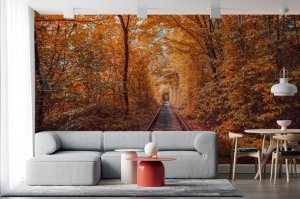 Foto tapete priroda - Tapete za zid - Nature