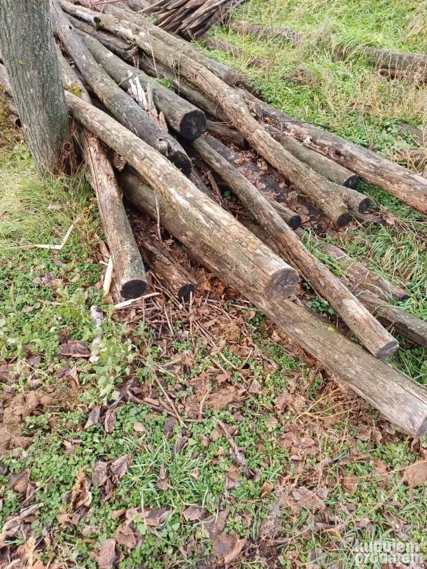 Bagrenovi stubovi