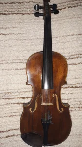 pola violina